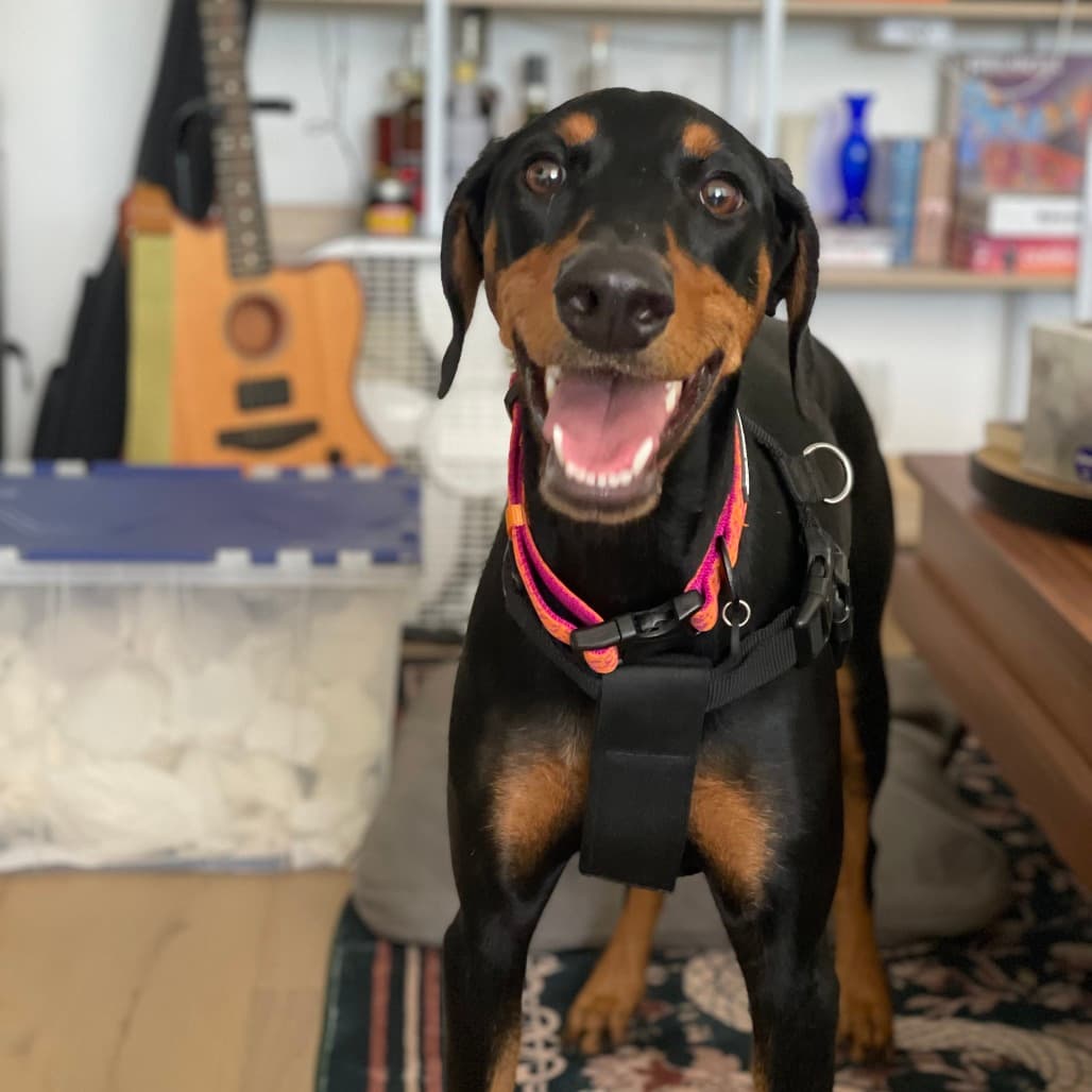 Saatchi thumbnail 2